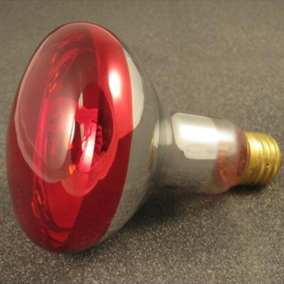 ST0485RB   Heat Lamp Replacement Bulb for ST0485